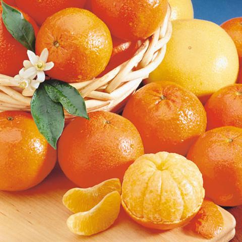 Tangerine 5 Fold Natural Blend Essential Oil 2
